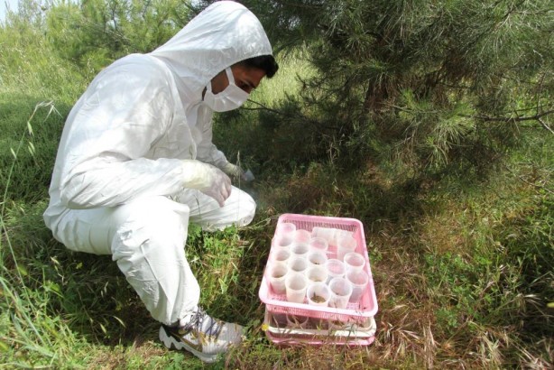 Foto - Terminatör böcekler görevde