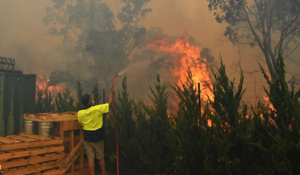 Foto - Termometreler 56 dereceyi gördü! Yangınlar çıkmaya başladı