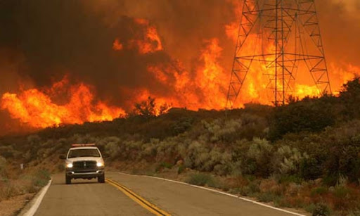 Foto - Termometreler 56 dereceyi gördü! Yangınlar çıkmaya başladı