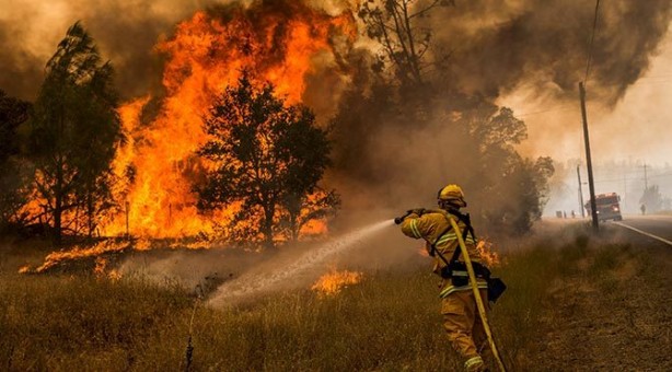 Foto - Termometreler 56 dereceyi gördü! Yangınlar çıkmaya başladı