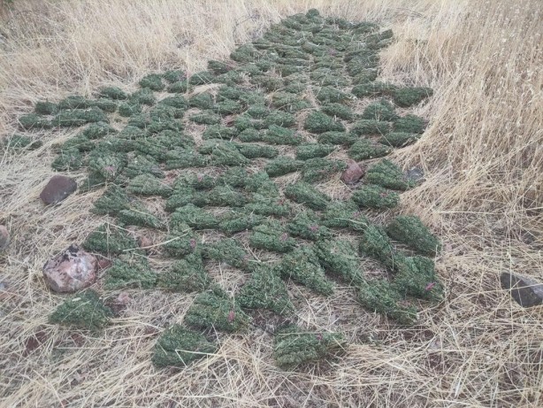 Foto - Terör örgütü PKK'nın finans kaynağına darbe!