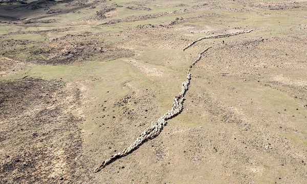 Foto - Terörden arındırılan Tendürek Dağı’nda büyük hazırlık