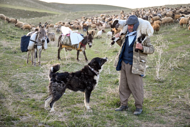Foto - Terörden temizlenen Faraşin bölgesine artık huzur hakim