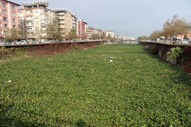 Foto - Tersine akan nehir görünmez olmuştu şimdi temizleniyor