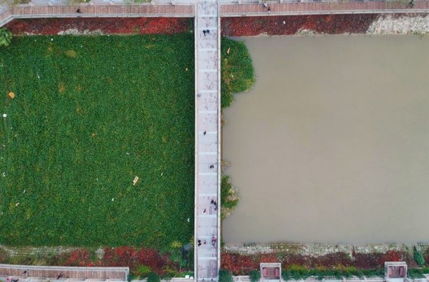 Foto - Tersine akan nehir görünmez olmuştu şimdi temizleniyor