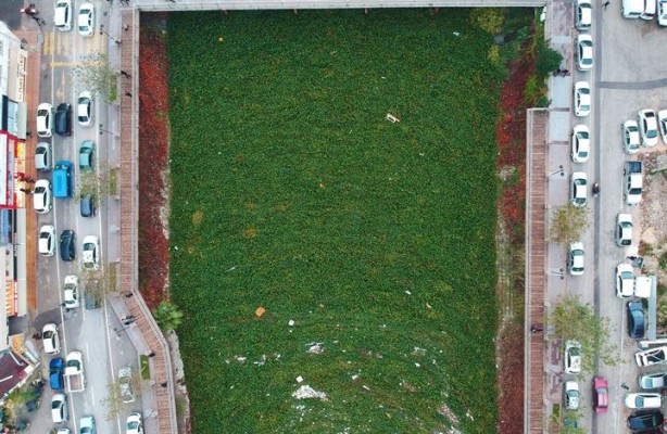 Foto - Tersine akan nehir görünmez olmuştu şimdi temizleniyor