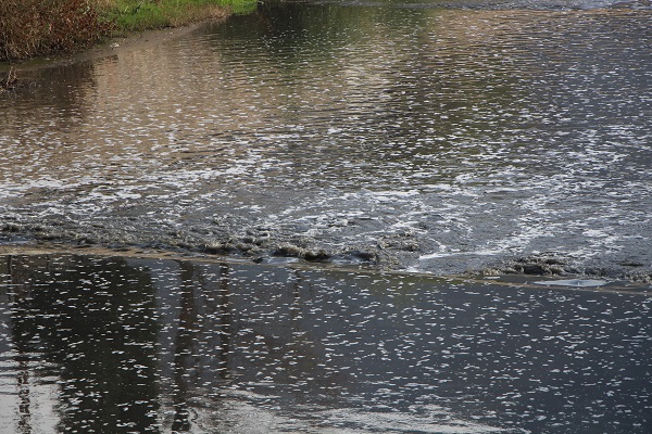 Tersine akan tek akarsuyun son hali! O çay kirlilikten köpürdü