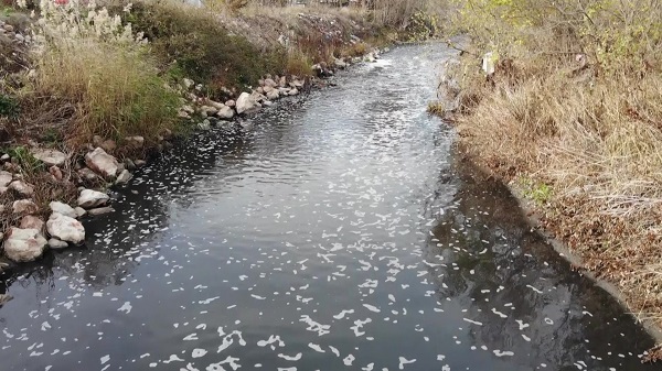 Foto - Tersine akan tek akarsuyun son hali! O çay kirlilikten köpürdü