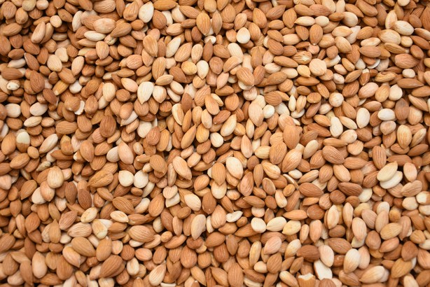 Tescilli kayısı çekirdeği ihracatından 9 ayda 11.5 milyon dolarlık gelir