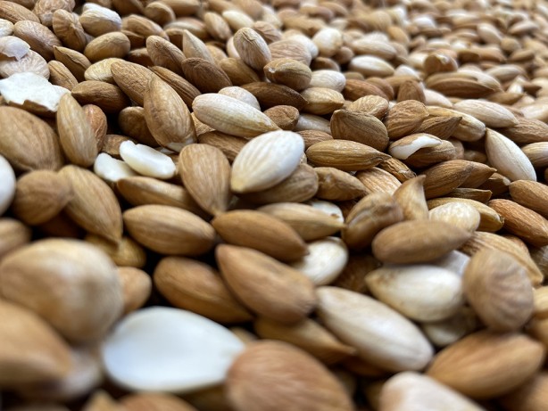 Foto - Tescilli kayısı çekirdeği ihracatından 9 ayda 11.5 milyon dolarlık gelir