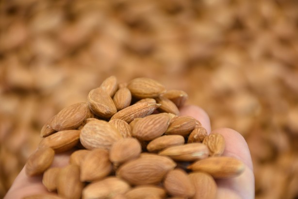 Foto - Tescilli kayısı çekirdeği ihracatından 9 ayda 11.5 milyon dolarlık gelir