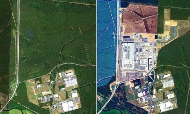 Foto - Tesla ağaç katliamı yaptı! fabrika için 500.000 ağaç kesildi