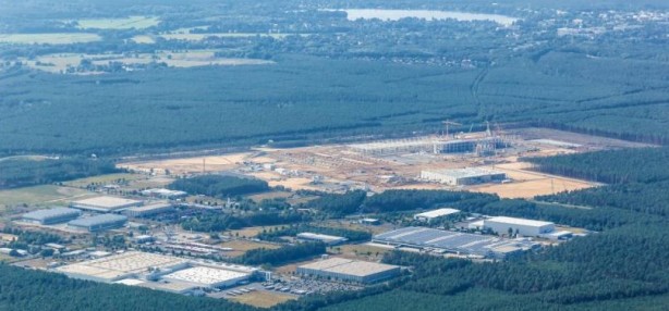 Foto - Tesla ağaç katliamı yaptı! fabrika için 500.000 ağaç kesildi