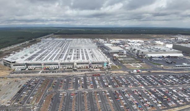 Foto - Tesla ağaç katliamı yaptı! fabrika için 500.000 ağaç kesildi