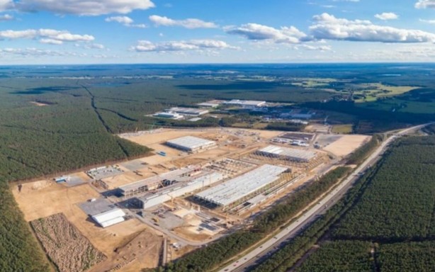 Tesla ağaç katliamı yaptı! fabrika için 500.000 ağaç kesildi