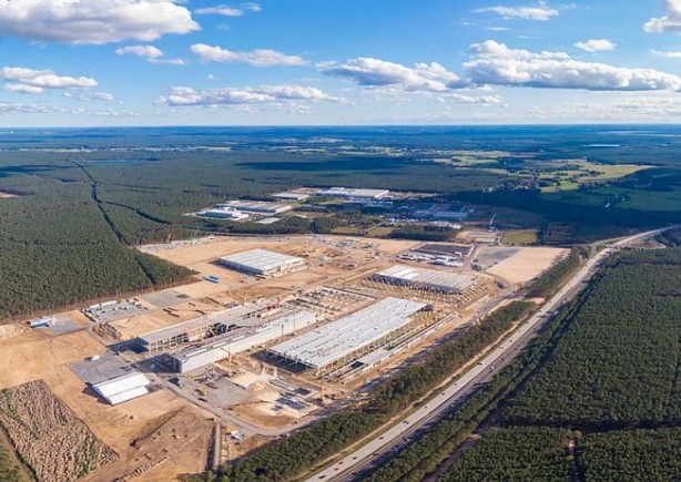 Foto - Tesla ağaç katliamı yaptı! fabrika için 500.000 ağaç kesildi