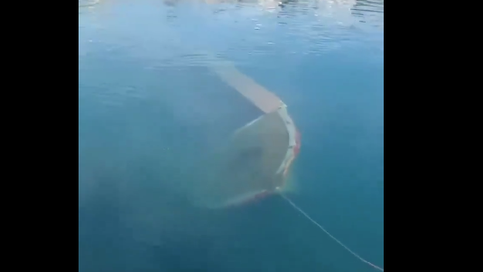 Foto - Tesla bunu da yaptı! Burası Amerika değil Türkiye! Görünce, "Yok artık daha neler" diyeceksiniz