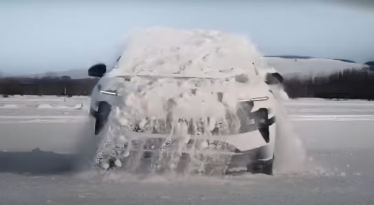 Tesla'nın rakibi köpeklerden ilham aldı