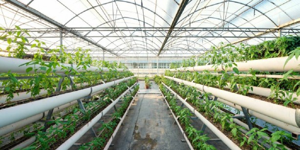 Foto - Tezgah tezgah gezip etiket incelemeye son! Sebze-meyve fiyatlarında şok eden gelişme! Pazar arabaları ağzına kadar dolacak