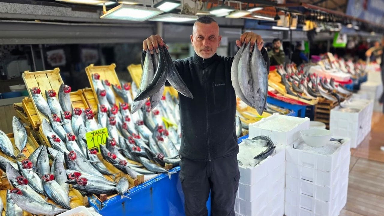 Foto - Tezgahlarda palamut bereketi! Fiyatı duyan kasa kasa aldı