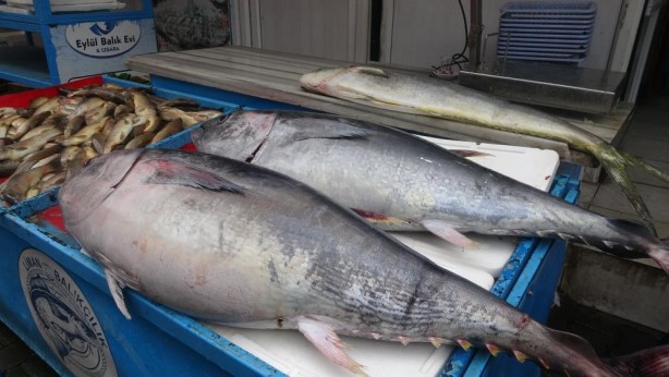Foto - Tezgahtaki balığı gören dönüp bir daha baktı!