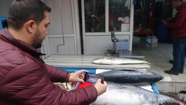 Foto - Tezgahtaki balığı gören dönüp bir daha baktı!