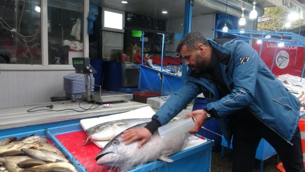 Foto - Tezgahtaki balığı gören dönüp bir daha baktı!