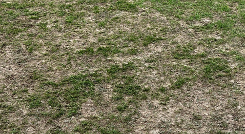 TFF’den kritik duyuru geldi: Bir Eryaman krizimiz eksikti o da oldu sonunda… Futbolda Ankara bizi yormasın artık…