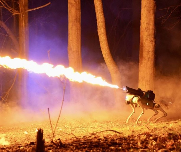 Throwflame Thermonator Robodog'un fiyatı ortaya çıktı
