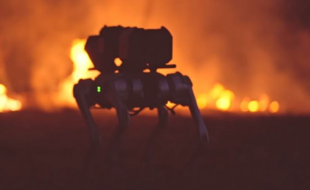 Foto - Throwflame Thermonator Robodog'un fiyatı ortaya çıktı