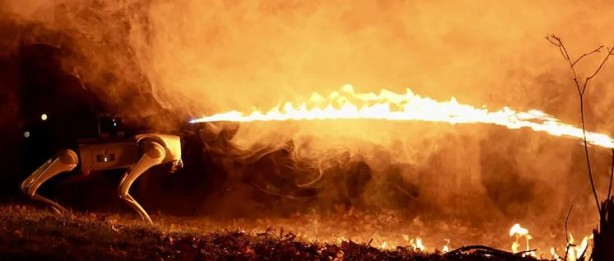 Foto - Throwflame Thermonator Robodog'un fiyatı ortaya çıktı