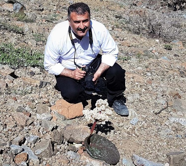 Foto - Tıbbi özelliği çok yüksek! Yeni bir tür tespit edildi