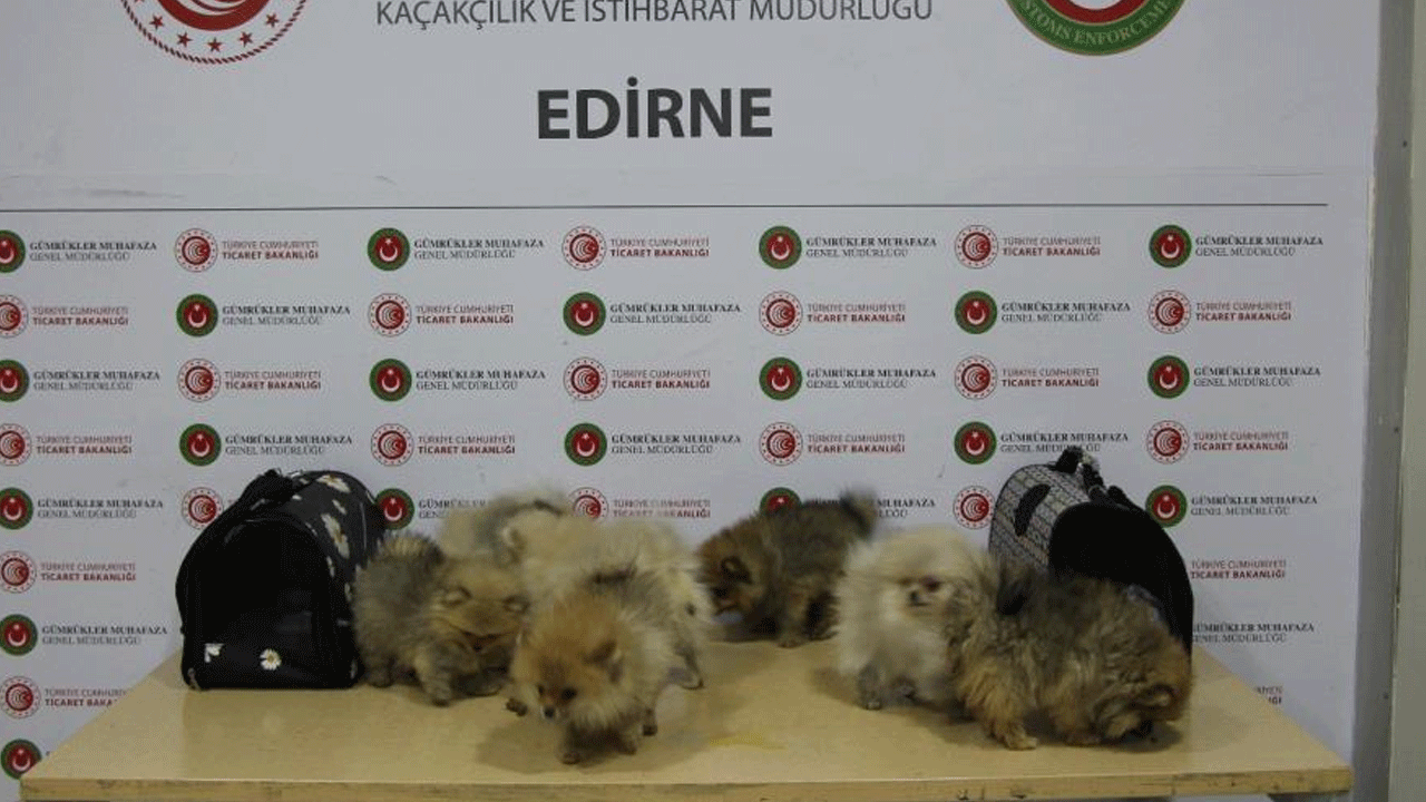 Foto - Ticaret Bakanlığı 195 çekici ve 177 dorse cinsi araç ele geçirdi