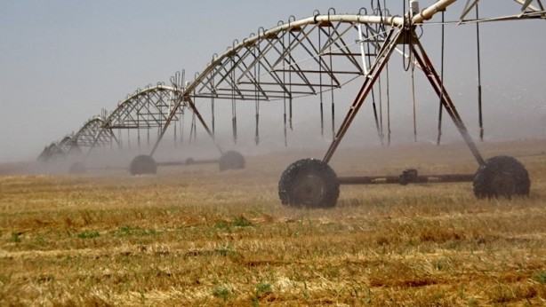 Foto - TİGEM-Ceylanpınar Sulama Projesi yarın hayata geçiriliyor