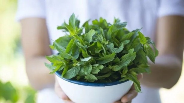 Foto - Tıkalı bağırsağı anında açıyor! Akşam tüketirseniz bir saatte temizliyor