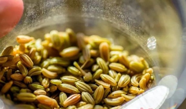 Foto - Tıkalı bağırsağı anında açıyor! Akşam tüketirseniz bir saatte temizliyor