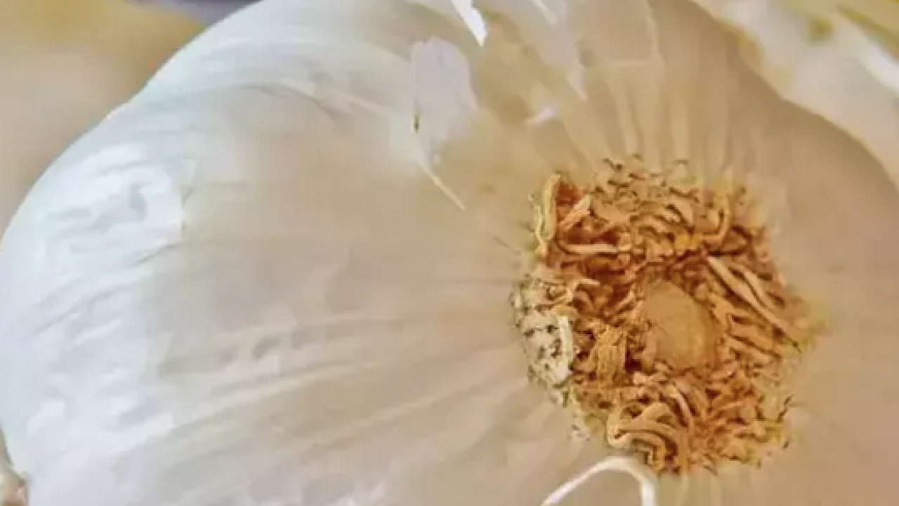 Foto - Tıkanmış damarlara anjiyo etkisi yapıyor! Kilo kilo alıp yıl boyu tüketin: Yemeklere kaşık kaşık ekleyin 