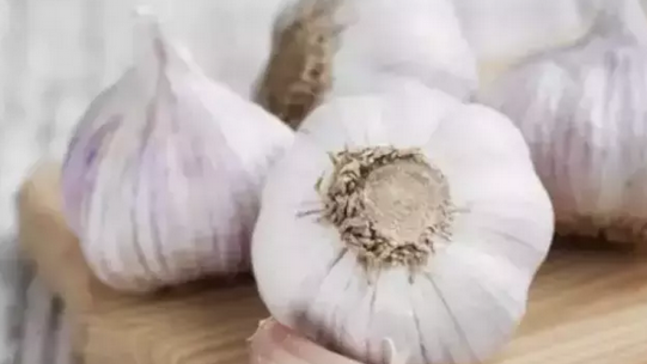 Foto - Tıkanmış damarlara anjiyo etkisi yapıyor! Kilo kilo alıp yıl boyu tüketin: Yemeklere kaşık kaşık ekleyin 