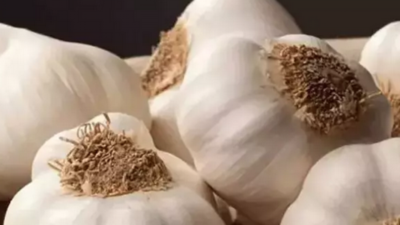 Foto - Tıkanmış damarlara anjiyo etkisi yapıyor! Kilo kilo alıp yıl boyu tüketin: Yemeklere kaşık kaşık ekleyin 