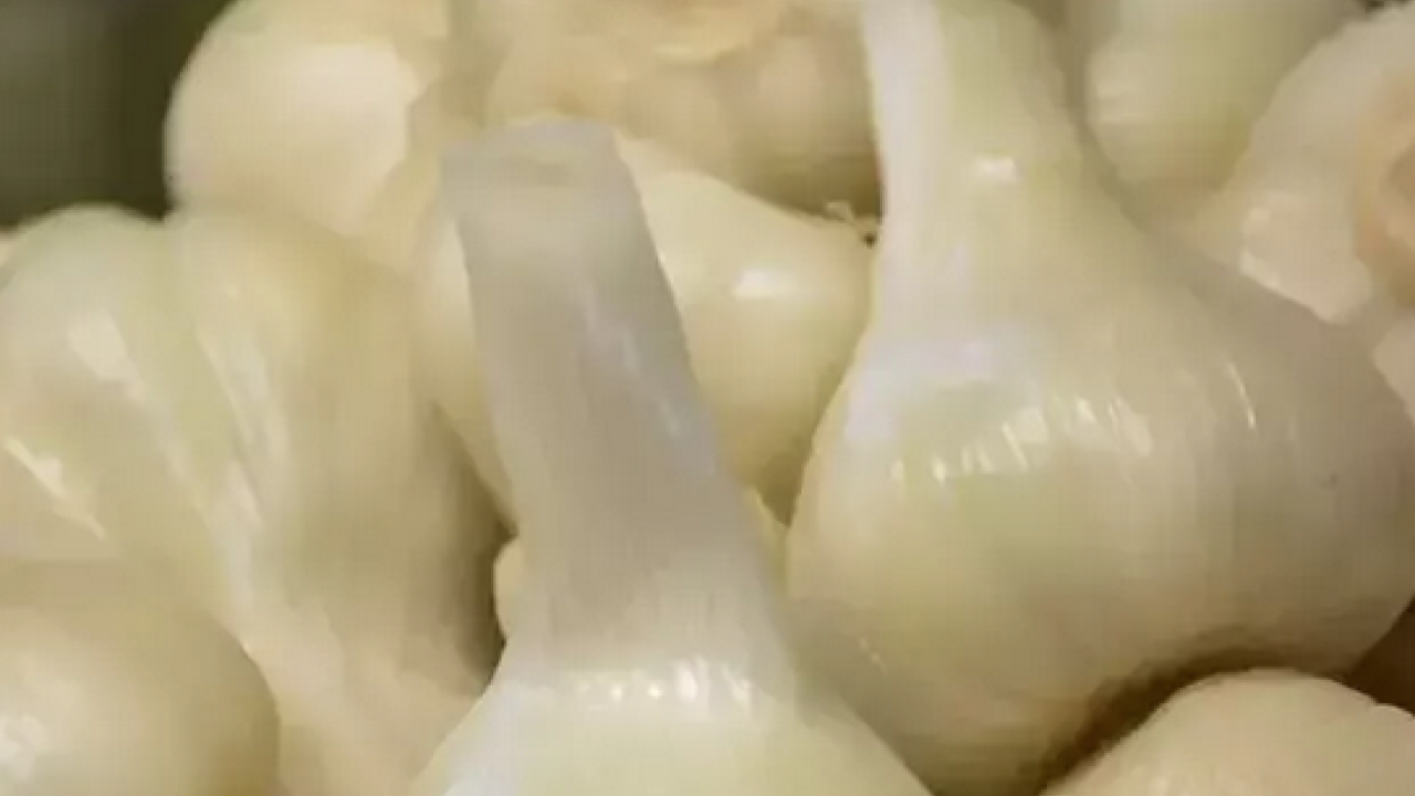 Foto - Tıkanmış damarlara anjiyo etkisi yapıyor! Kilo kilo alıp yıl boyu tüketin: Yemeklere kaşık kaşık ekleyin 