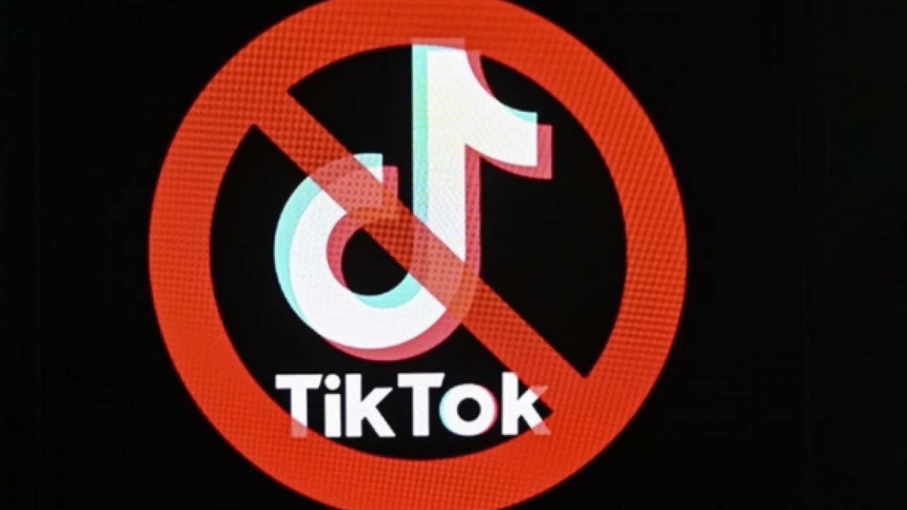 Foto - TikTok’ta kızını oynatan parazit! Selma Savcı yazdı