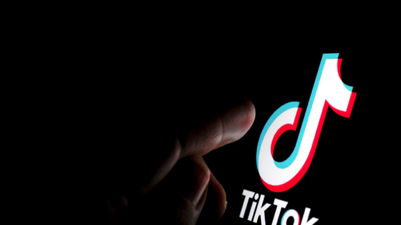 Foto - TikTok’ta kızını oynatan parazit! Selma Savcı yazdı