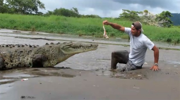 Foto - Timsahlara bir de bu açıdan bakın!