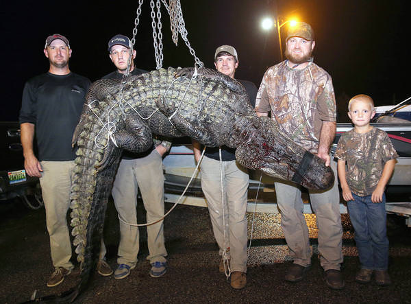 Foto - Timsahlara bir de bu açıdan bakın!