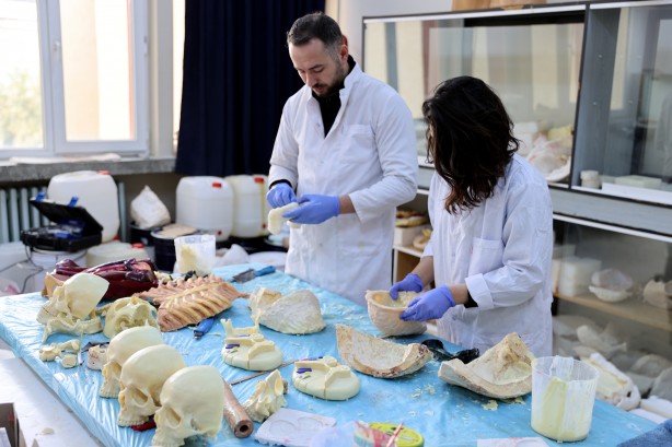 Foto - Tıpatıp benzerlerini yapıyorlar! 200 tıbbi maket üretildi bile...