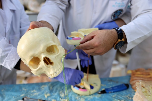 Foto - Tıpatıp benzerlerini yapıyorlar! 200 tıbbi maket üretildi bile...