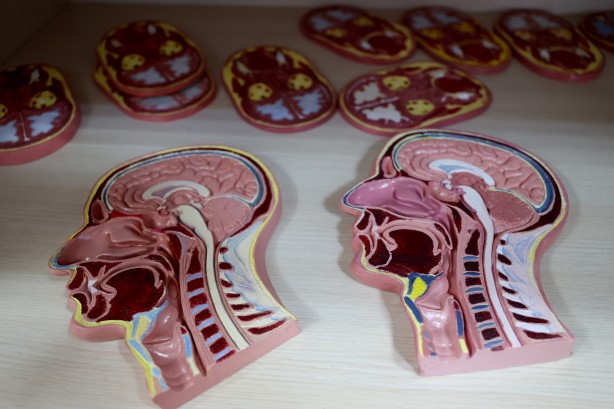 Foto - Tıpatıp benzerlerini yapıyorlar! 200 tıbbi maket üretildi bile...