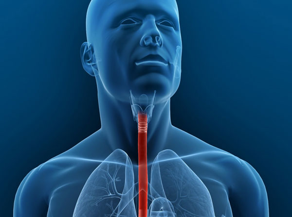 Foto - Tıpta çığır açan teknoloji! Artık yapay zeka ile tespit edilebilecek