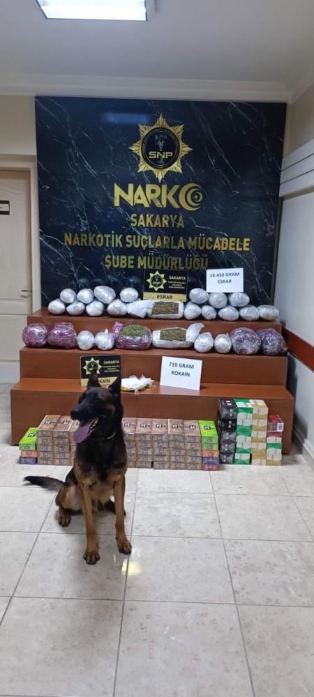 Foto - Tırda mide bulandıran olay! İdam edin bunları