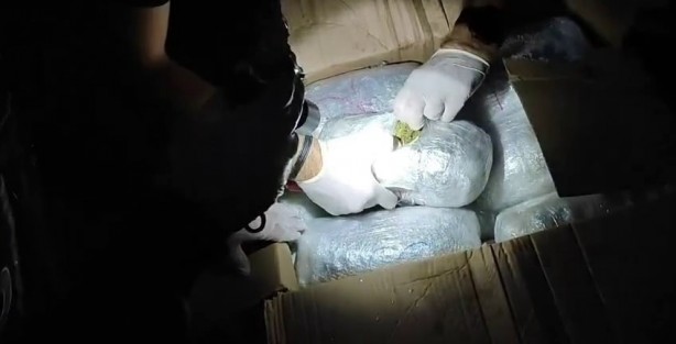 Foto - Tırda mide bulandıran olay! İdam edin bunları